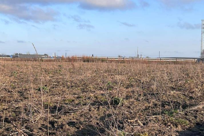 Landsbyskoven ved Ishøj