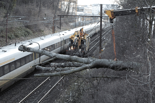 Det er DSB Hjælpevogn, der med kran løfter træet væk fra skinnerne på Kystbanen. Foto Brians Lindberg/Scanpix
