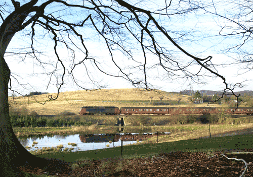Bn-vognene har tjent DSB siden 1972, men fredag den 13. august kører de sidste tur i almindelig drift. Arkivfoto: Rene Stranbygaard