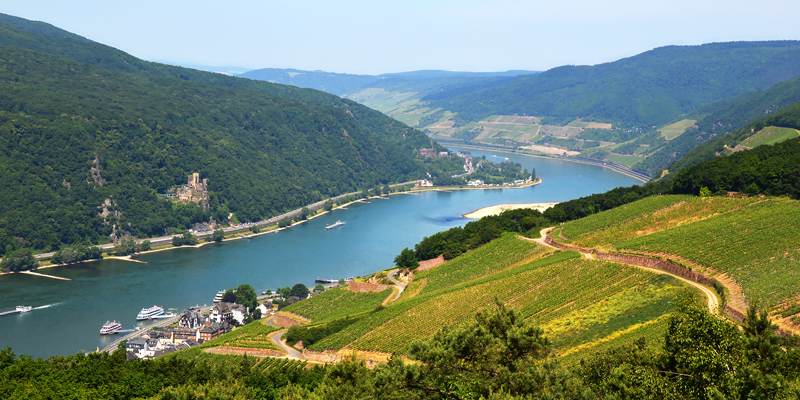 Tag toget til Rüdesheim am Rhein med DSB og nyd naturen og den idylliske placering ved floden Rhinen
